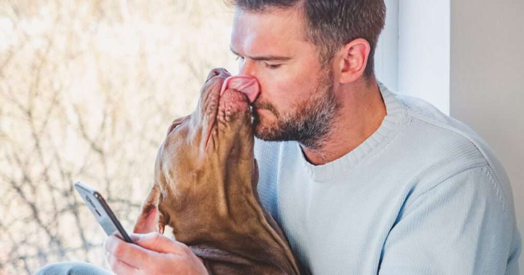 Dog Licking Man While On Phone