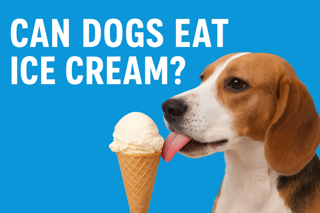 Can Dogs Eat Ice Cream